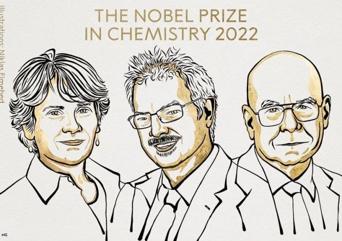 Los creadores de la “química del click” ganaron el premio Nobel 2022