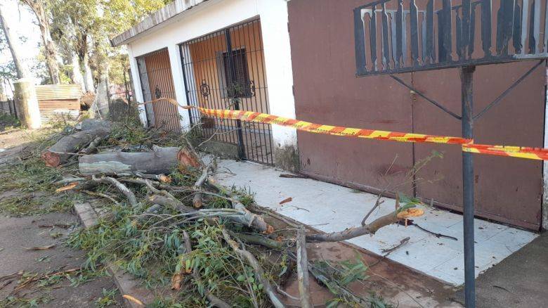 Villa Nueva: cayó un árbol por la tormenta y destruyó dos casas