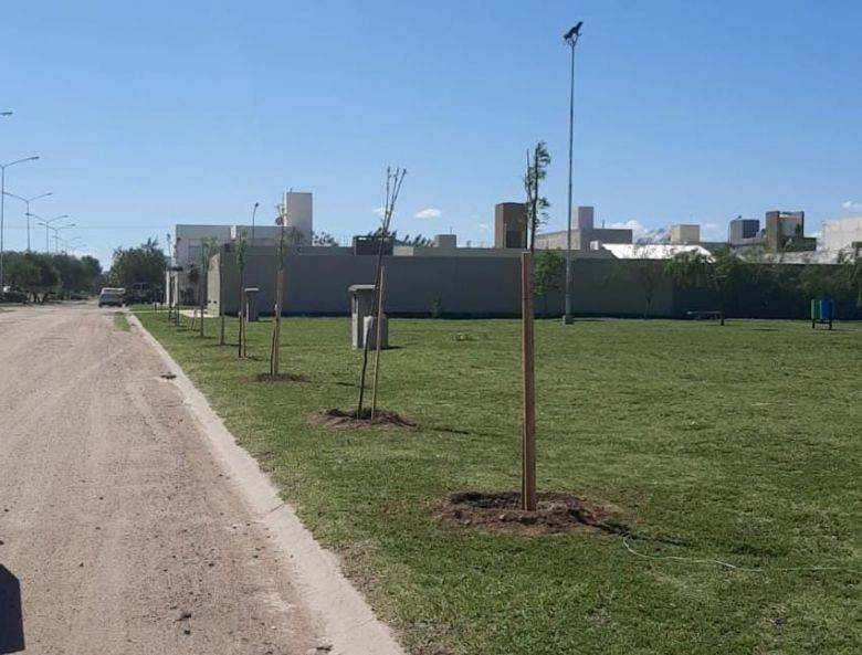 Se plantaron arboles nativos en el barrio Ramon Carillo 