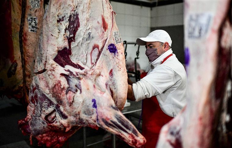 Troceo de carne: FIFRA pedirá una cautelar en las próximas horas