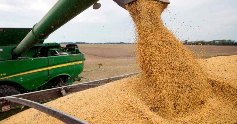 Oncativo: incautaron más de 47 toneladas de soja 