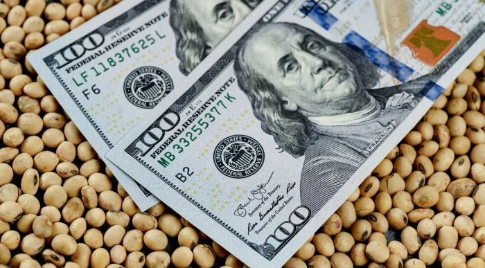 Dólar soja: el BCRA compró U$S 361 millones en la semana