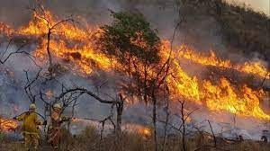 Córdoba, La Pampa y Entre Ríos tienen focos activos de incendios forestales