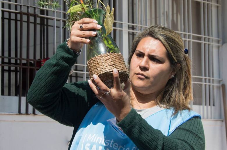 Confirmaron cinco casos de dengue y de chikunguña