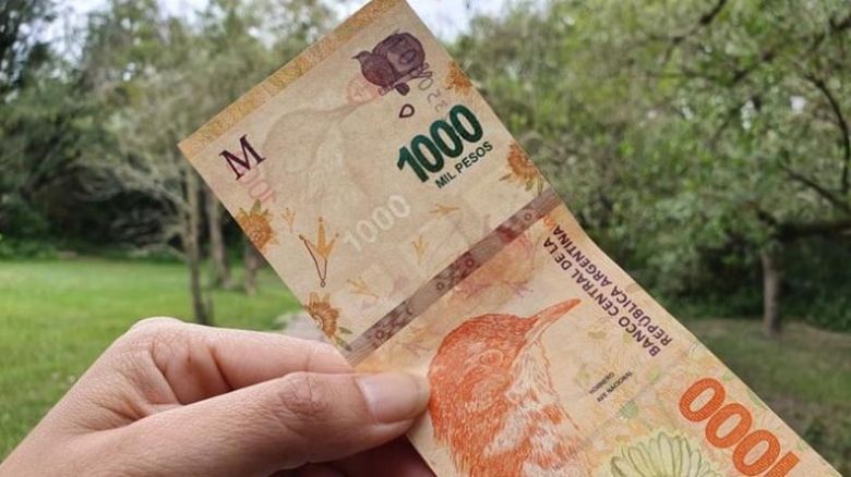 Quiso pagar con dinero falso, lo descubrieron y se comió los billetes