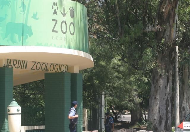 Trasladaran a 75 animales del ex zoologico a una granja educativa 