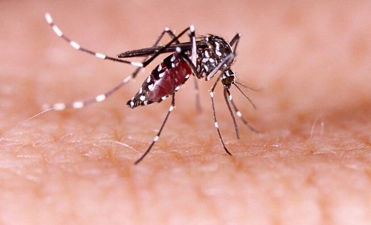 Dengue: "hay entre cinco y diez veces más de la cantidad detectada"