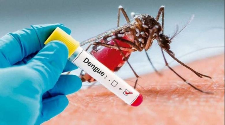 Salud advirtió sobre variantes de dengue y chikunguña circulantes