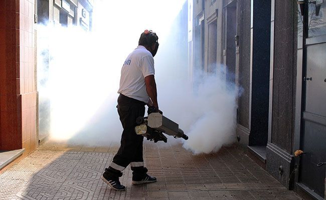 Dengue en Córdoba: los casos suben a 4.426 en la temporada