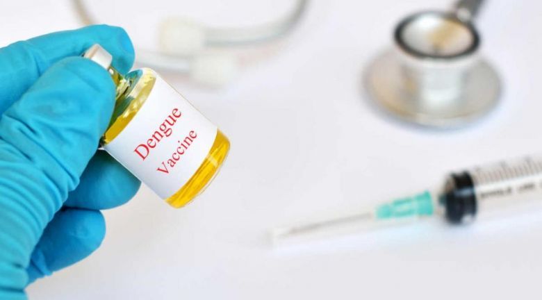 Anmat aprobó el uso de una vacuna japonesa contra el dengue