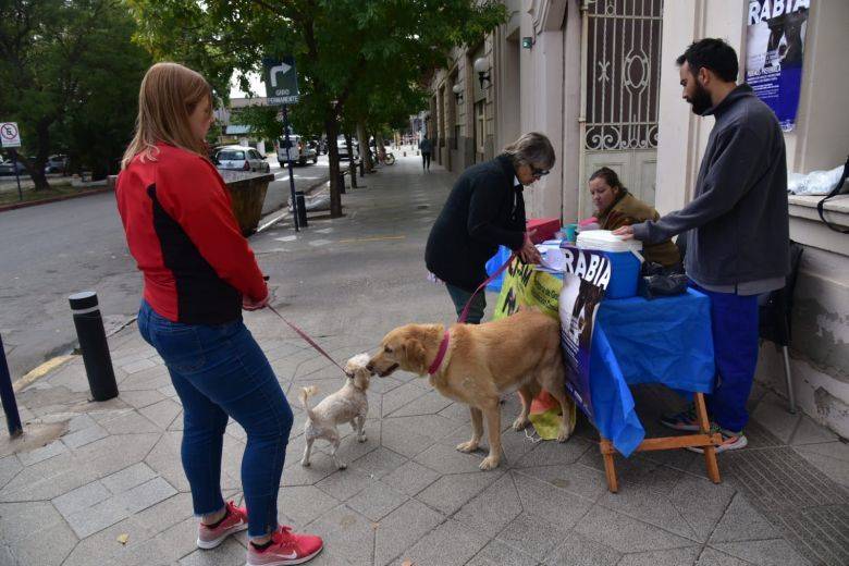 La Campaña de Vacunación Antirrábica culminó con más de 3000 dosis aplicadas