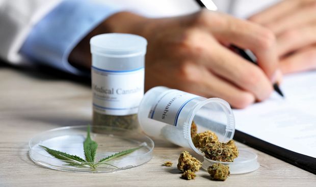 Lanzaron un programa para acceder a cannabis medicinal en Córdoba