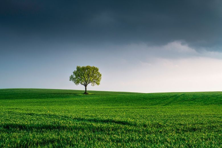 Día Mundial del Medio Ambiente 