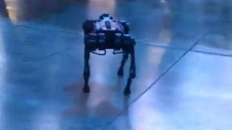 Cabo Lugones: el curioso perro robot que presentó la Policía de Santiago del Estero