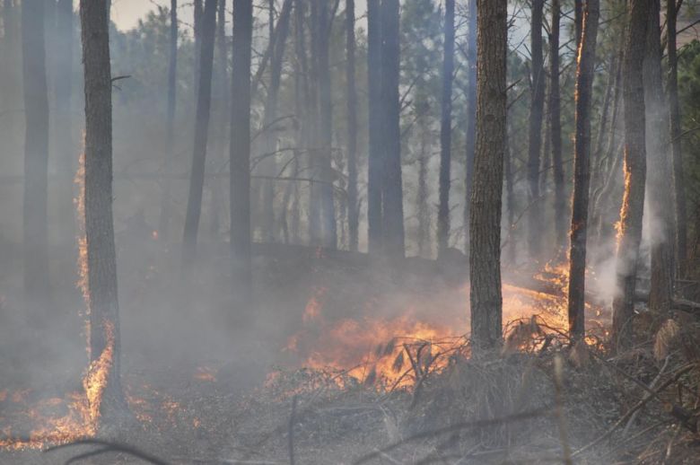 Bomberos combaten distintos incendios en la provincia