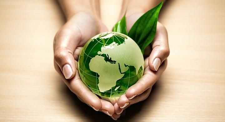 Día Mundial de la Ecología