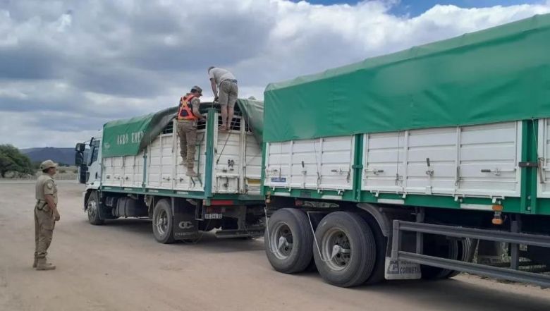 Dos camioneros detenidos por transportar granos sin documentación