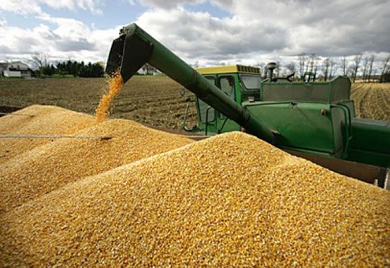 Siete empresas agrícolas son investigadas por sobrefacturación en importaciones de soja