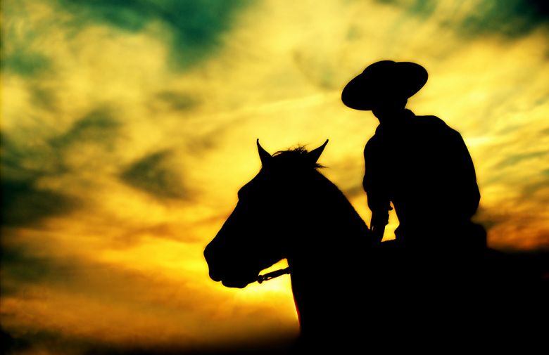 Día Nacional del Gaucho: en honor a la publicación de la primera parte de "El Gaucho Martín Fierro"