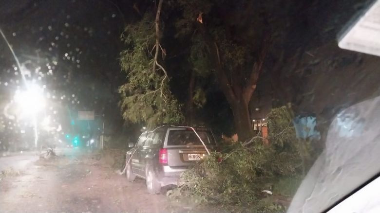 Río Cuarto: fuertes tormentas hicieron destrozos en la ciudad