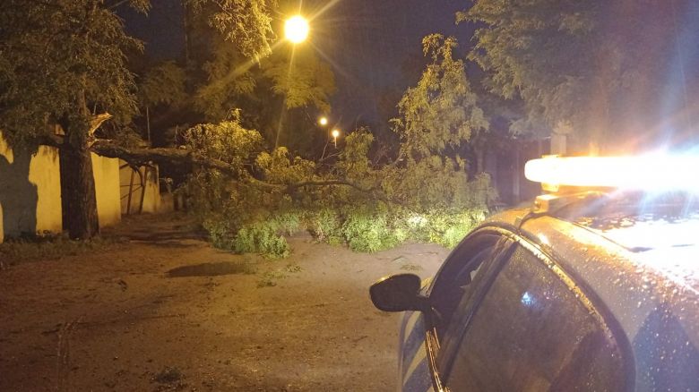 Río Cuarto: fuertes tormentas hicieron destrozos en la ciudad