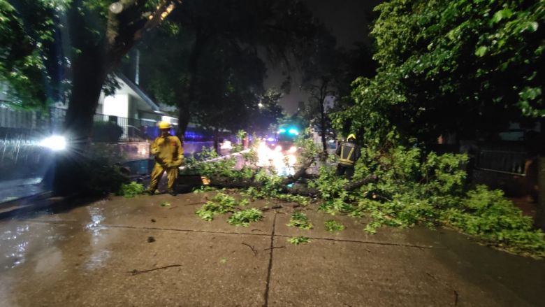 Río Cuarto: fuertes tormentas hicieron destrozos en la ciudad