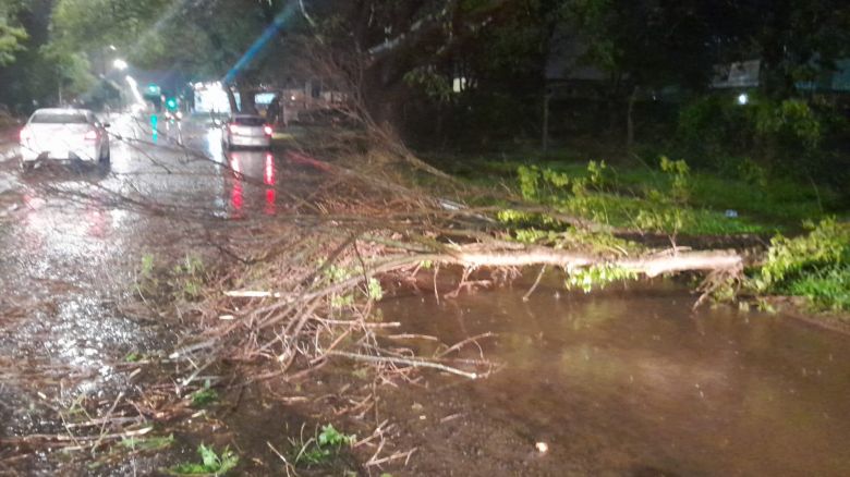 Se produjeron distintos inconvenientes en la ciudad tras la tormenta