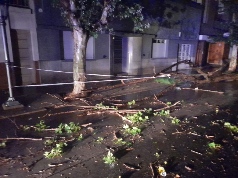 Se produjeron distintos inconvenientes en la ciudad tras la tormenta