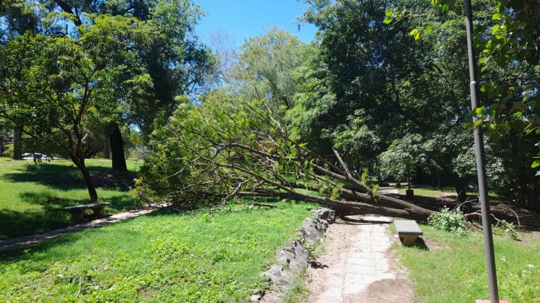 Se produjeron distintos inconvenientes en la ciudad tras la tormenta