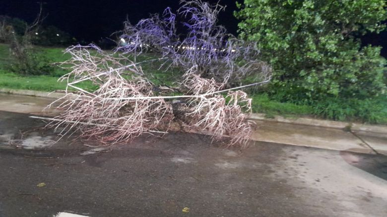 Se produjeron distintos inconvenientes en la ciudad tras la tormenta