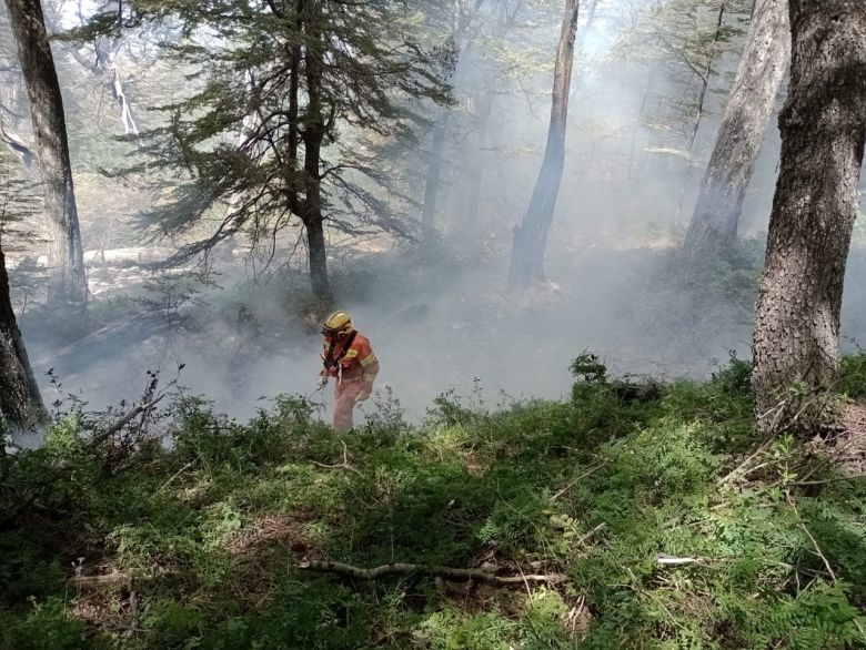 Bomberos de la región colaboran en el incendio del parque Nacional Los Alerces