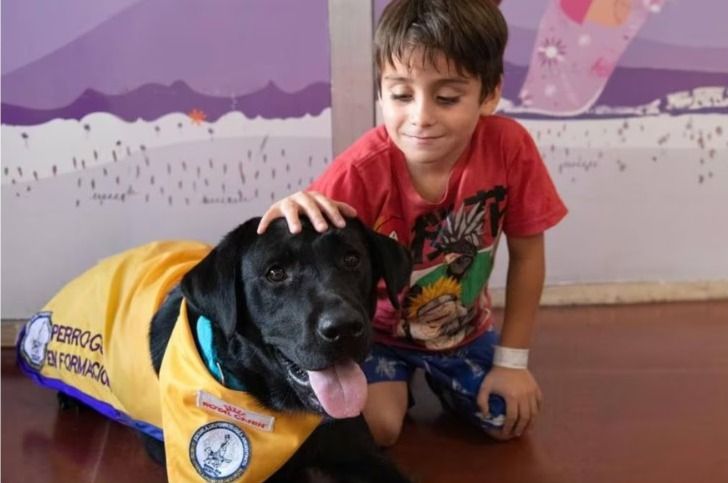 El Garrahan implementó por primera vez la terapia asistida con perros para pacientes internados