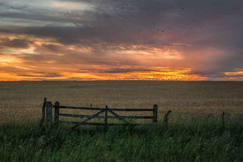 El 7 de marzo se celebra el Día Mundial del Campo