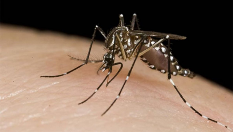 Dengue: el Gobierno cuestionó la eficacia de la vacuna y apuntó contra Alberto Fernández