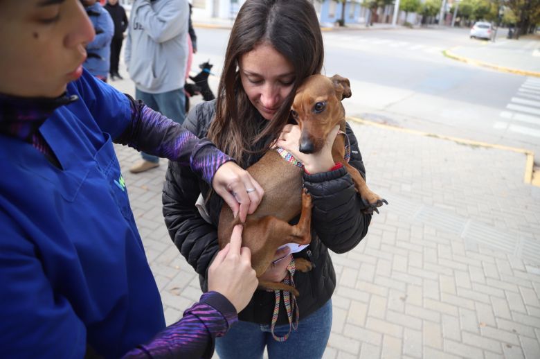 Comienza la tercera etapa de la campaña de Vacunación Antirrábica