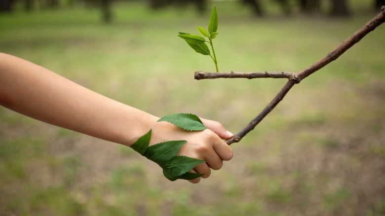 Se celebra el Día Internacional del Medio Ambiente