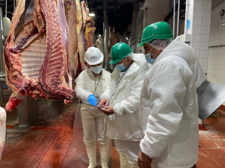 Carne vacuna: frigoríficos alertaron sobre una de las peores caídas en 30 años