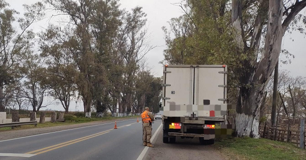 Dos camiones  transportaban alimentos con irregularidades