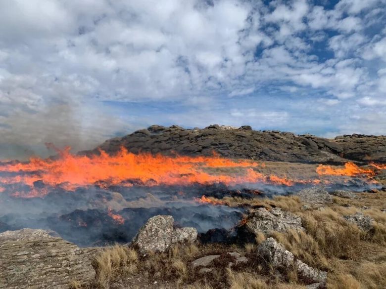 Incendios en las sierras: el viento complica el combate contra el fuego 