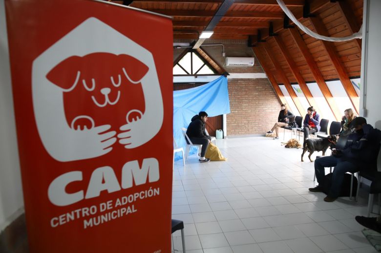 Se castraron casi 3000 mascotas en lo que va del 2024