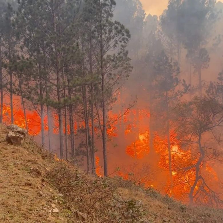 El Durazno: el fuego arrasó mas de 10.000 hectáreas y hay una persona detenida