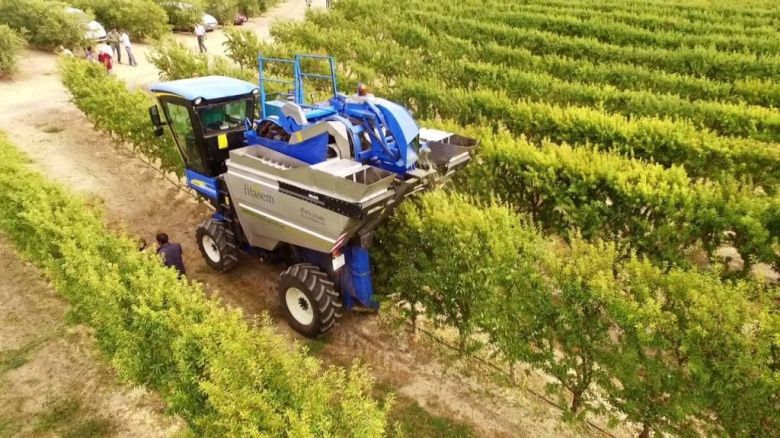 Alarmante pérdida de organismos del suelo por prácticas agrícolas intensivas