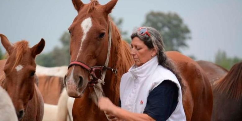 Voluntarios por los caballos se manifestaron en el Congreso de la Nación