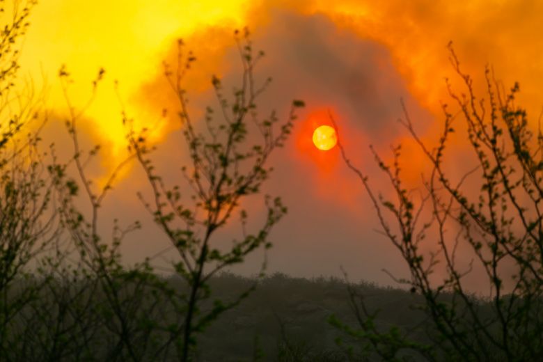 Incendios en Córdoba: el Senado aprobó la emergencia ambiental por 180 días