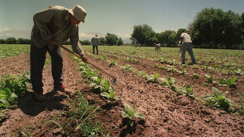 Se celebra el Día del Trabajador Rural