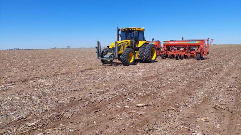 Récord histórico: El maní alcanza las 450.000 hectáreas