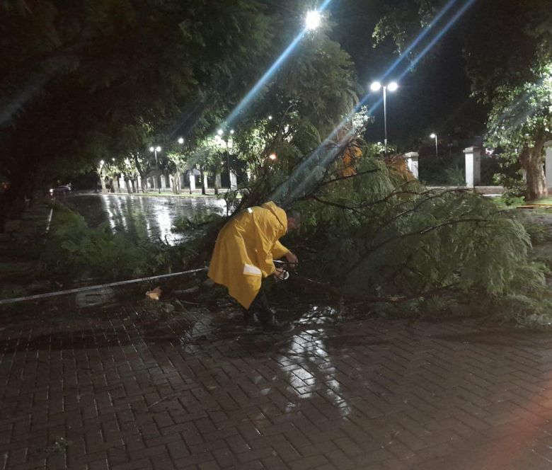 Fuerte accionar del Municipio y Bomberos por daños a causa de la tormenta