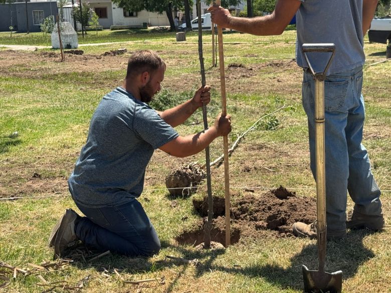 Se realizan trabajos de modernización en la plaza Alfredo Palacios