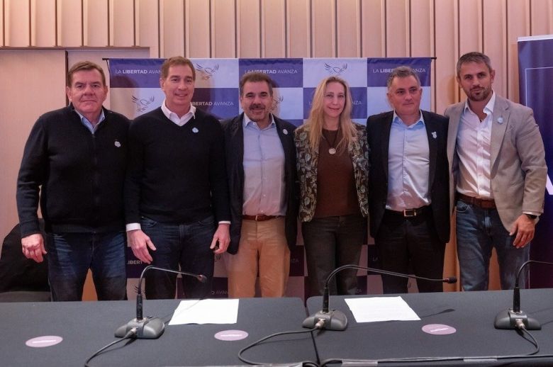 Milei redobló la apuesta contra los gobernadores y esta tarde habrá una sesión clave en el Senado