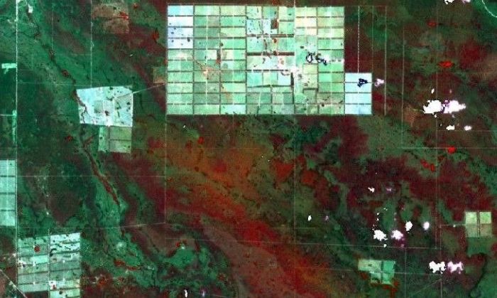 En 6 meses se desforestó una superficie equivalente a una vez y media el tamaño de Buenos Aires